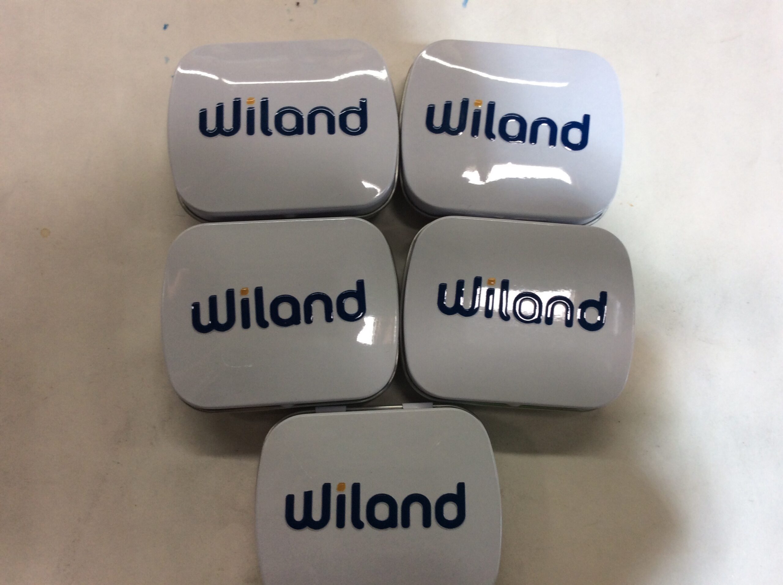 Domed Tin with Bone Shaped Mints with your custom logo